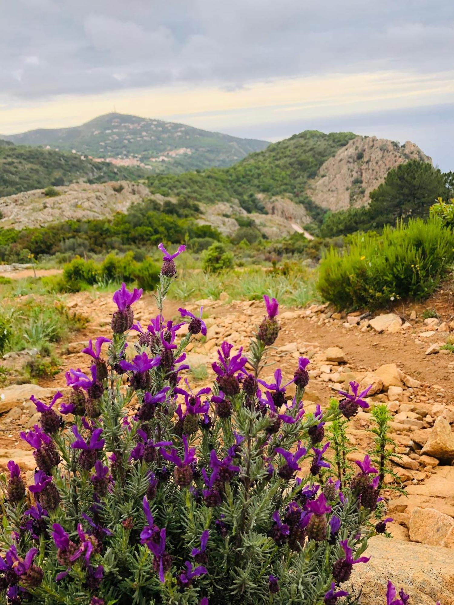 Piana - Vue Mer Et Village Piana (Corsica) Exterior foto